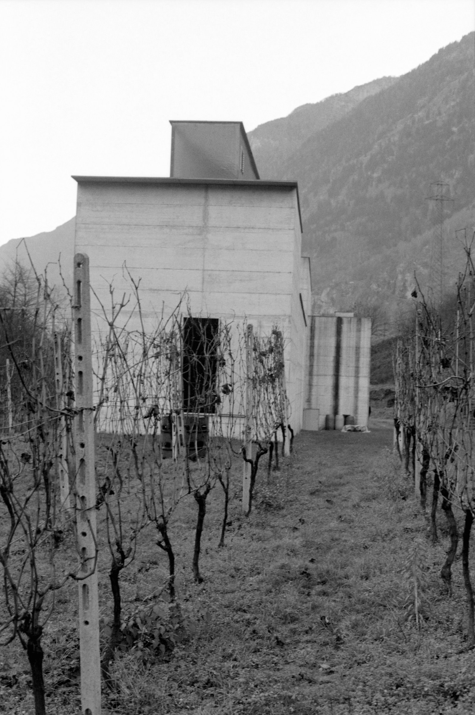 AHP F1994 11 006 sc250521 img17 NLP